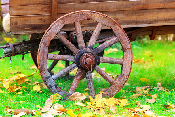 whell of vooden carriage in autumn park - Photo, Image