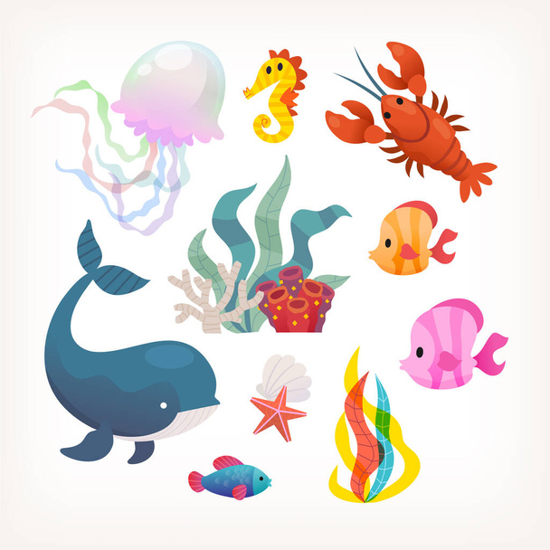 Collection of sea animals and plants. Fish lobsters mammals and sea weeds. Isolated vector images. - Vector, Image