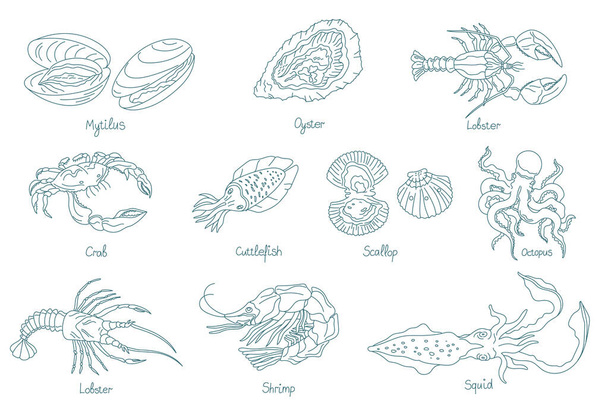 Seafood. Marine molluscs. Open paths. Editable stroke. - Vettoriali, immagini