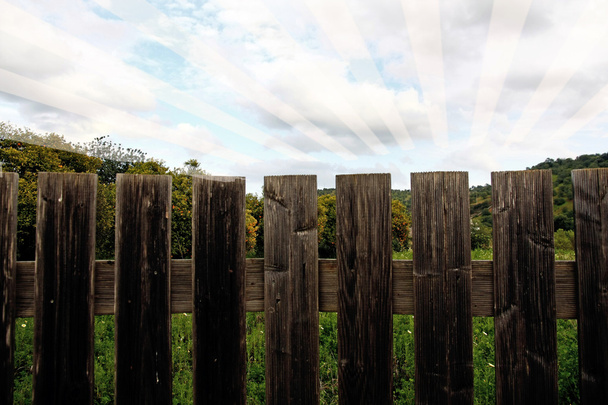 Помаранчеве поле і паркан
 - Фото, зображення