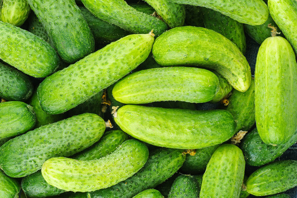 Cucumbers background.Tasty  vegetarian background  - Photo, Image