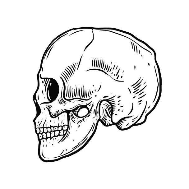 Black color scull people. Hand drawn engraving style. Vector illustration. - Vector, Image