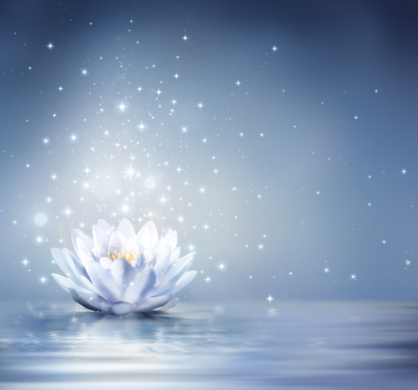 waterlily licht blauw op water - fairytale achtergrond - Foto, afbeelding