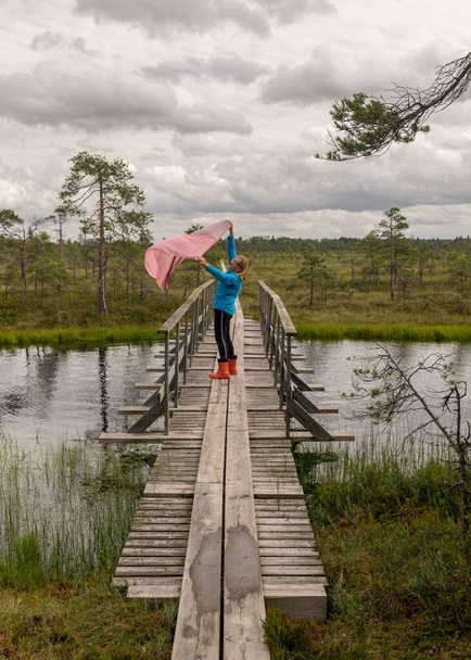 táj a nyári mocsárban. egy kék kabátos nő egy fa hídon. mocsári tó. mocsári háttér és növényzet. fehér felhők. kis mocsári fenyők - Fotó, kép