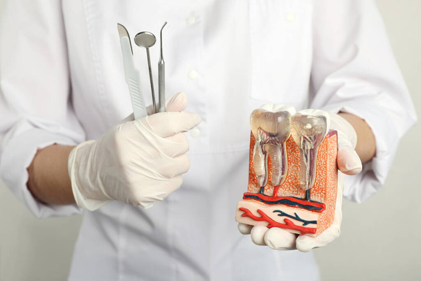 Dentist holding educational model of jaw section with teeth and tools on light background, closeup - Foto, imagen