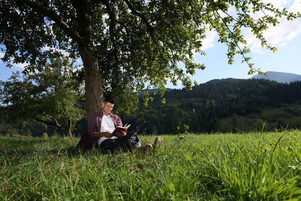 Handsome man reading book under tree on meadow in mountains - Фото, зображення