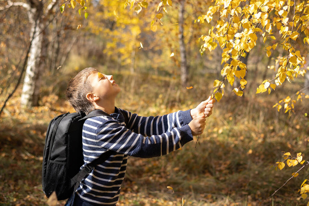 Happy teenager boy with backpack having fun in autumn park outdoors. People in fall. Schoolboy on way back from school. Joyful child walking in autumn forest. Digital detox. Leisure activity outside - Photo, Image