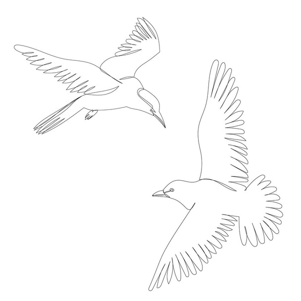 madár legyek vonal rajz vázlat, elszigetelt - Vektor, kép