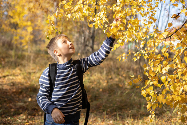 Счастливый мальчик-подросток с рюкзаком развлекается в осеннем парке на свежем воздухе. Люди осенью. Школьник на обратном пути из школы. Радостное дитя, гуляющее в осеннем лесу. Цифровая детоксикация. Отдых на природе - Фото, изображение