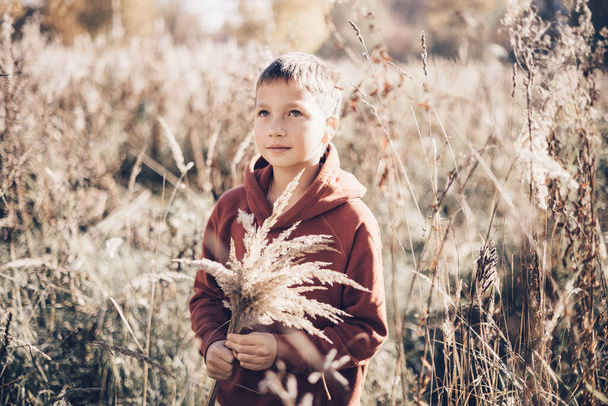 Adolescent garçon tenant bouquet de pampa sec herbe dans sa main dans le champ de roseau. Vie lente à la campagne Enfant joyeux marchant dans la nature à l'extérieur. Concept de mode de vie durable, moments inspirants - Photo, image