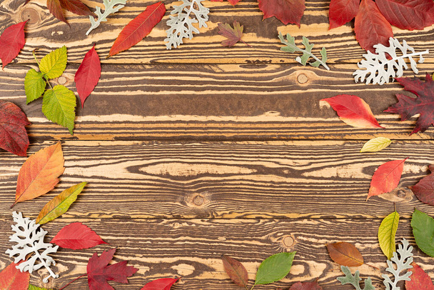 Podzim opouští staré dřevěné pozadí s kopírovacím prostorem. Podzimní pozadí s barevnými listy na dřevěné desce - Fotografie, Obrázek