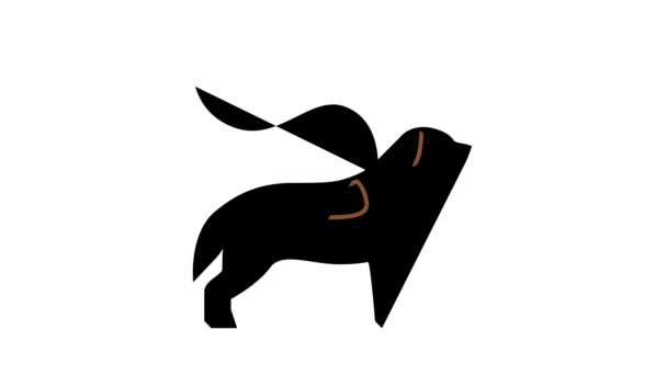 pouring out dog color icon animation - Footage, Video