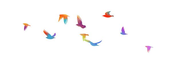 Värikkäitä lentäviä lintuja taivaalla. Vektoriesimerkki - Vektori, kuva