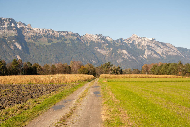 Schaan, Liechtenstein, 14 października 2021 Mała droga obok pola uprawnego w słoneczny dzień - Zdjęcie, obraz