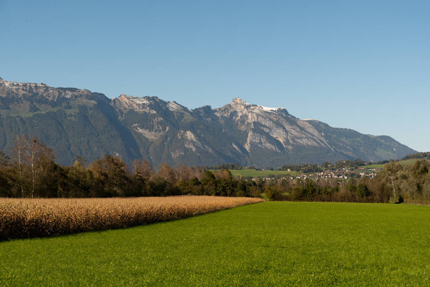 Schaan, Liechtenstein, 14 de octubre de 2021 Campo de maíz con las montañas al fondo - Foto, Imagen