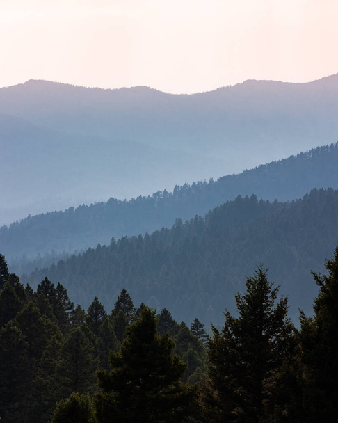 A vertical shot of a rural landscape with lush, bushy forests - Foto, imagen