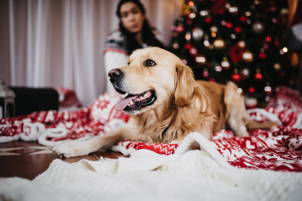 A female playing with her golden retriever dog beside a colorful Christmas Tree at Christmas eve - Valokuva, kuva