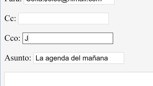 Spanish. Entering Email Address in Cco Online Box. Blind Carbon Copy Enter Contact Online Network Website. Typing Into Blind CC to Send Secretly to Other Recipient User. Viewpoint of Monitor Screen. - Footage, Video