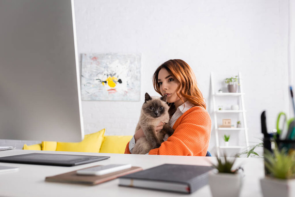 freelancer pensativo sentado con gato en el lugar de trabajo y mirando el monitor en primer plano borroso - Foto, imagen