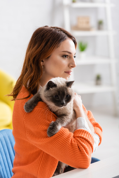 pretty young woman holding furry cat at home - Fotó, kép