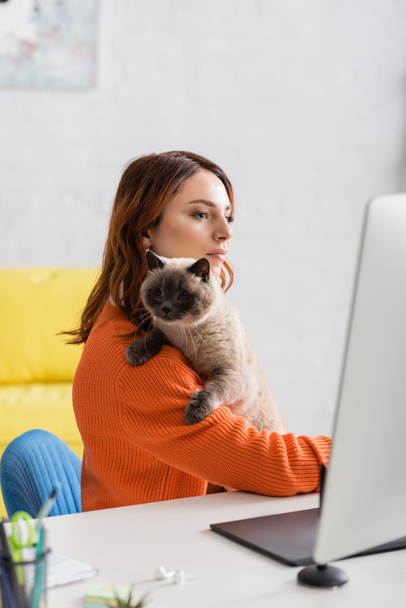 fiatal szabadúszó ül macskával közel elmosódott számítógép monitor és grafikus tabletta - Fotó, kép