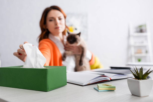作業机で猫と座っている間にパックから紙ナプキンを取るぼやけたアレルギーの女性  - 写真・画像