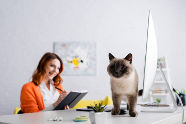 gato en escritorio cerca borrosa freelancer escritura en cuaderno mientras trabaja en casa - Foto, imagen