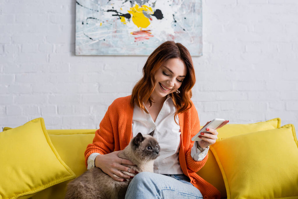 pleased woman looking at fluffy cat while sitting on yellow couch with mobile phone - Foto, Imagem