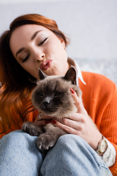blurred woman with closed eyes pouting lips near fluffy cat at home - Zdjęcie, obraz