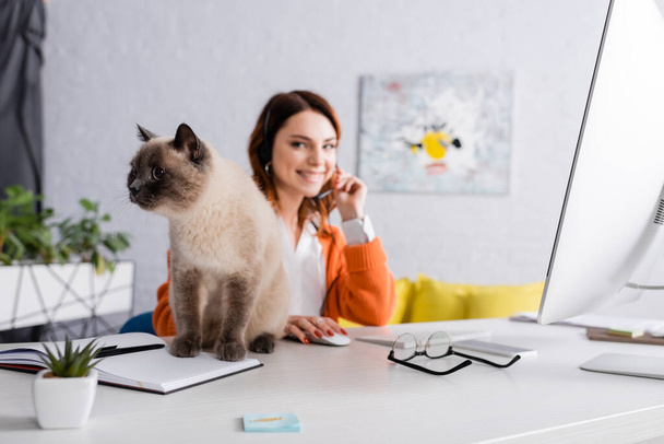 cat sitting on desk near blurred woman working in headset at home - Photo, Image