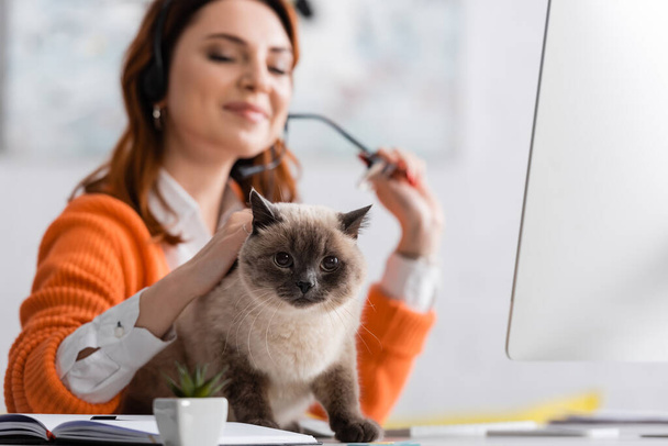 freelancer borroso acariciando gato sentado en el escritorio mientras trabaja en casa - Foto, Imagen