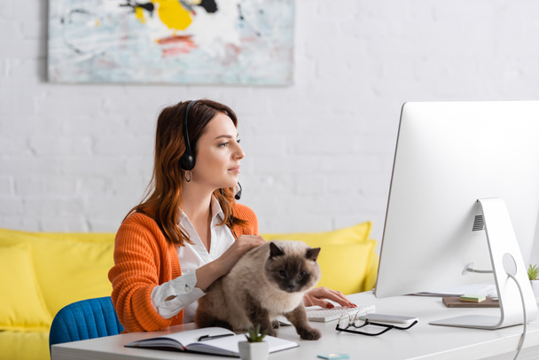 молодой фрилансер в наушниках смотрит на монитор во время работы рядом с котом на рабочем столе - Фото, изображение