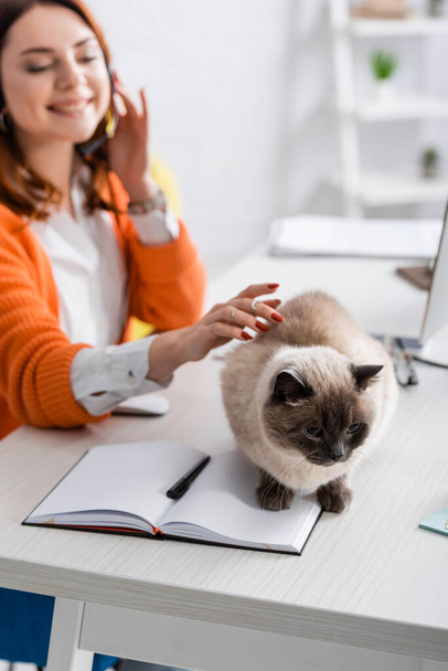 glückliche verschwommene Frau berührt Katze, die neben Notizbuch und Stift auf Schreibtisch sitzt - Foto, Bild