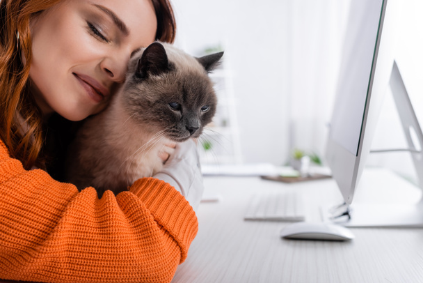 Masadaki bulanık bilgisayar monitörünün yanında kediyi kucaklayan serbest çalışanın görüntüsünü kapat - Fotoğraf, Görsel