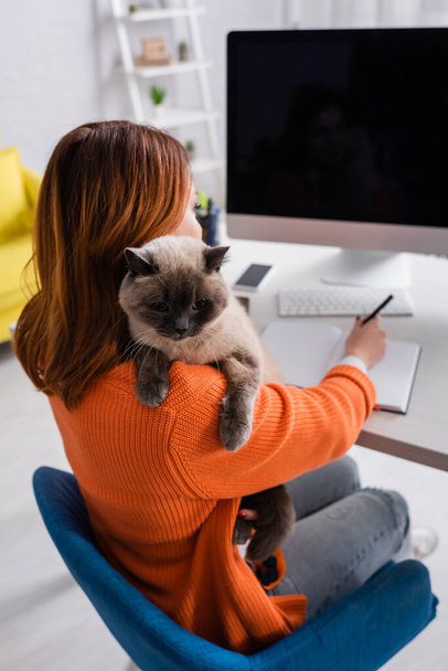 widok z tyłu freelancer z kotem na ramieniu pisanie w notebooku w pobliżu monitora z pustym ekranem - Zdjęcie, obraz