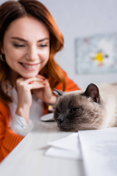 selective focus of cat lying on desk near freelancer smiling on blurred background - Foto, afbeelding