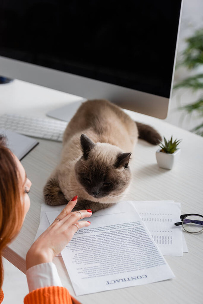 cropped view of blurred woman touching cat lying on desk near documents - Photo, Image