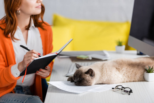 vista recortada de la mujer borrosa escribiendo en el cuaderno cerca del gato acostado en el escritorio - Foto, Imagen