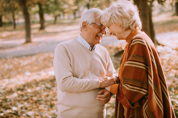 Hermosa pareja de ancianos abrazándose en el parque de otoño - Foto, Imagen