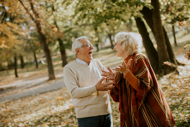 Yakışıklı yaşlı çift sonbahar parkında eğleniyor. - Fotoğraf, Görsel