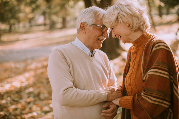 秋の公園で抱擁ハンサムなシニアカップル - 写真・画像