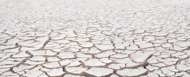 Cracked white clay, dried lakebed surface texture. Panorama with diminishing perspective and deep focus - Photo, Image