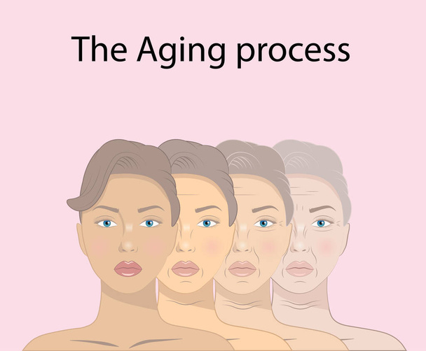 ilustración del concepto de belleza envejecimiento de la piel y proceso antienvejecimiento - Vector, imagen