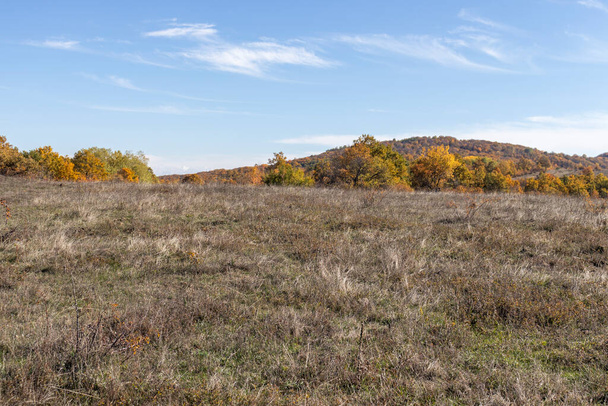 Jesienny krajobraz gór Gora Czerna (Czarna Góra), Region Pernik, Bułgaria - Zdjęcie, obraz