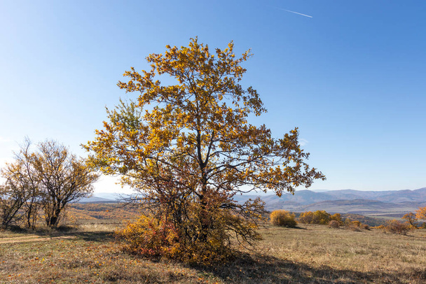 Jesienny krajobraz gór Gora Czerna (Czarna Góra), Region Pernik, Bułgaria - Zdjęcie, obraz