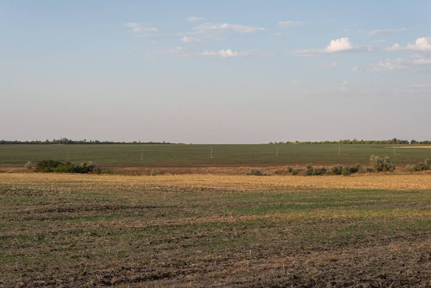 paysage d'un champ labouré avec herbe jaune contre le ciel août ukraine. - Photo, image