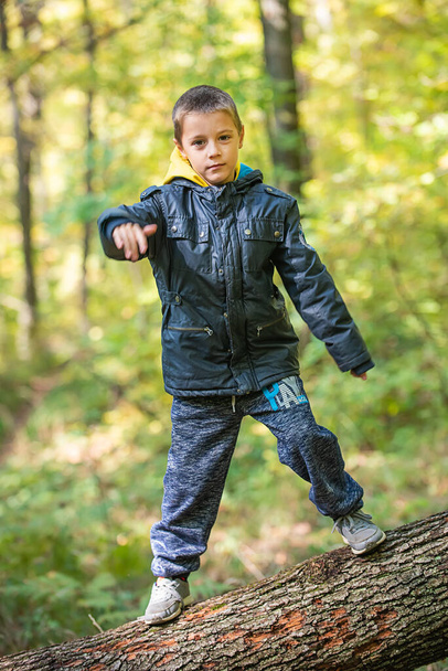 Nuori poika seisoo kaatunut puu runko ja kiinni tasapaino - Valokuva, kuva