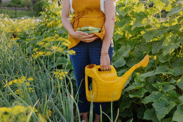 a European woman with a yellow watering can is watering vegetables and fruits in her garden. a beautiful and confident woman gardener or farmer takes care of her crops in the garden - Fotoğraf, Görsel