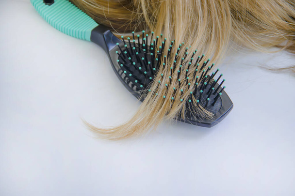 гребінець, красиве волосся крупним планом
 - Фото, зображення