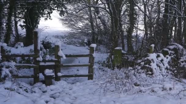 Telha no campo de terras agrícolas no inverno após a queda de neve - Filmagem, Vídeo